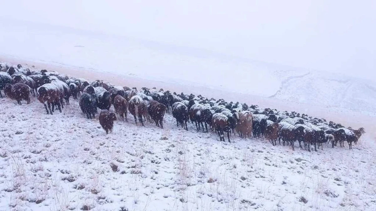 Ağrı’ya Mevsimin İlk Karı Düştü: Yaylalar Beyaza Büründü