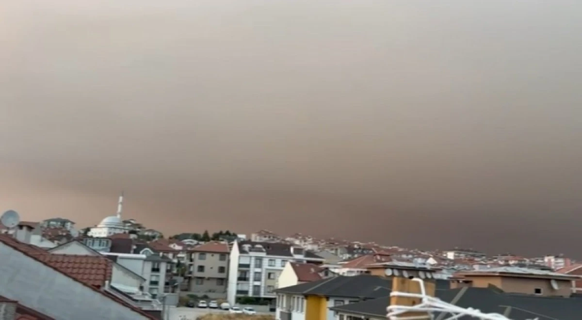 Bilecik'te çıkan yangın Bursa'da duman kokusu ve kül etkisi yarattı