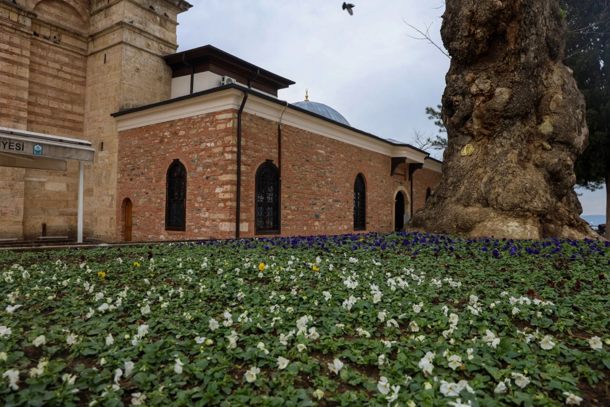 Bursa kışın da &ccedil;i&ccedil;ek bah&ccedil;esine d&ouml;n&uuml;ş&uuml;yor