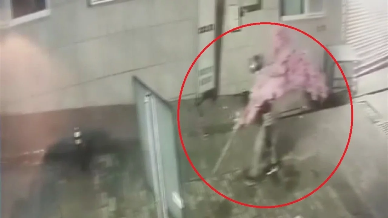 Bursa'da pes dedirten hırsızlık!