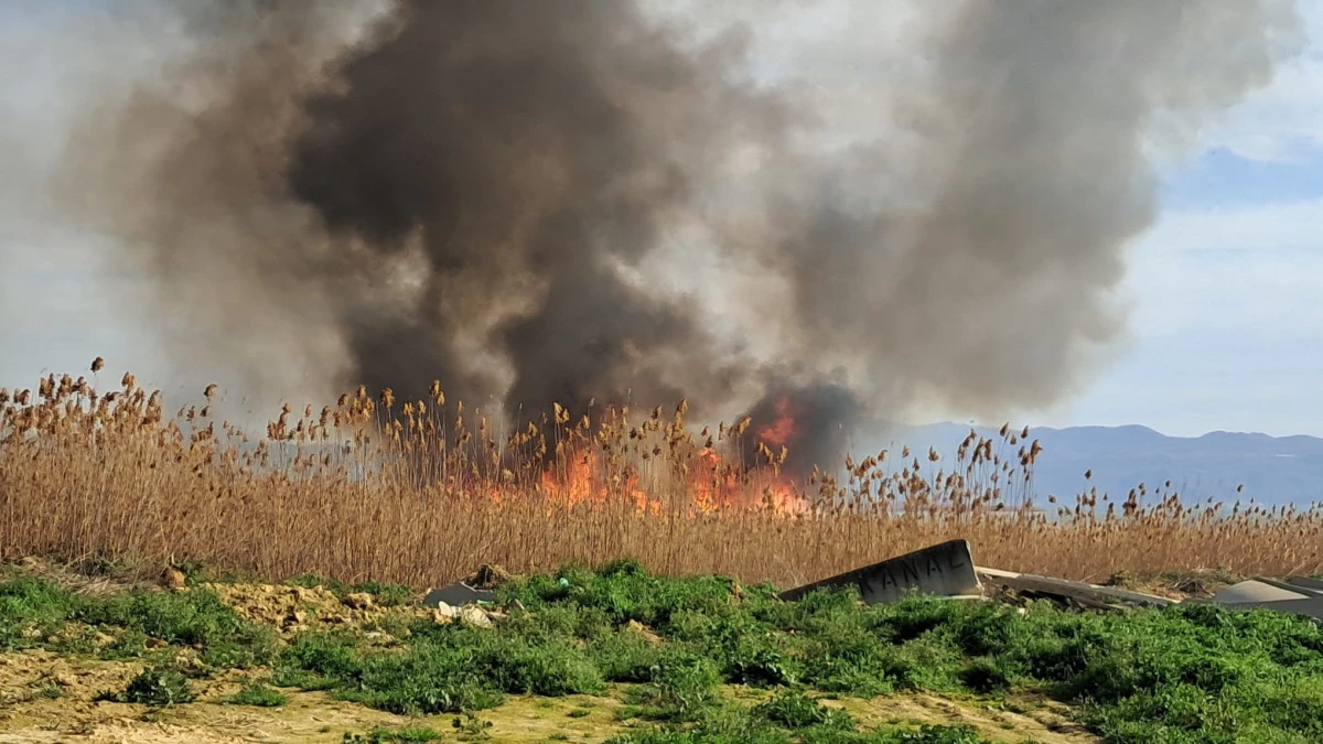 Bursa'da sazlık yangını!