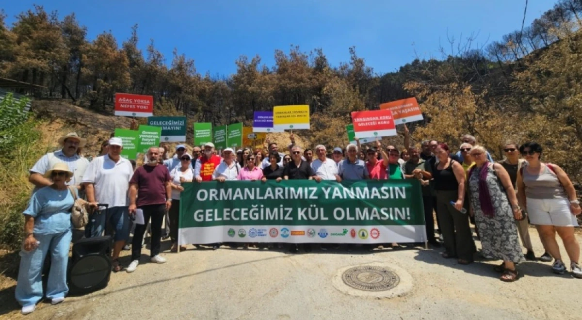 Bursa'dan orman yangınlarına karşı acil önlem çağrısı: