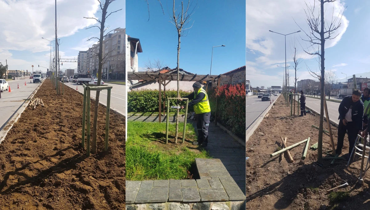 Bursa&rsquo;nın 700 yıllık mirası 700 &ccedil;ınarla k&ouml;k salıyor