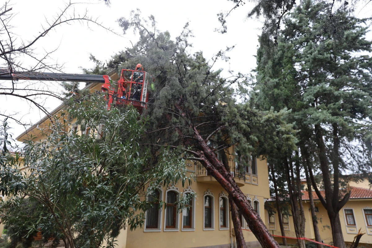 B&uuml;y&uuml;kşehir ekipleri, şiddetli r&uuml;zgara karşı sahada