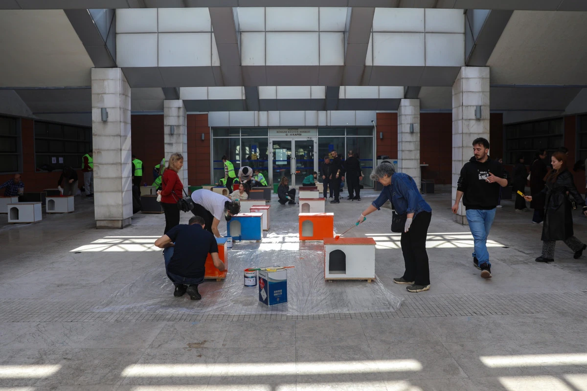 Can dostlara sıcak yuva