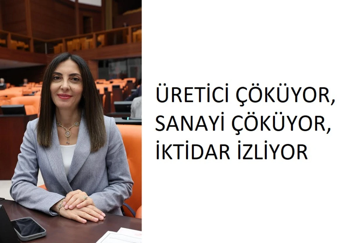 CHP BURSA MİLLETVEKİLİ NURHAYAT ALTACA KAYIŞOĞLU 