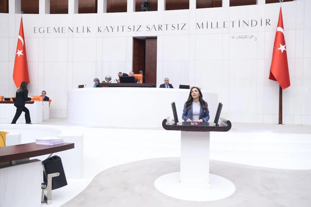 CHP GENEL BAŞKAN YARDIMCISI NURHAYAT ALTACA KAYIŞOĞLU "D&Ouml;VİZLE ASKERLİK 8 BİN EURO: GEN&Ccedil;LER VATANDAŞLIKTAN VAZGE&Ccedil;MEK ZORUNDA KALIYOR"