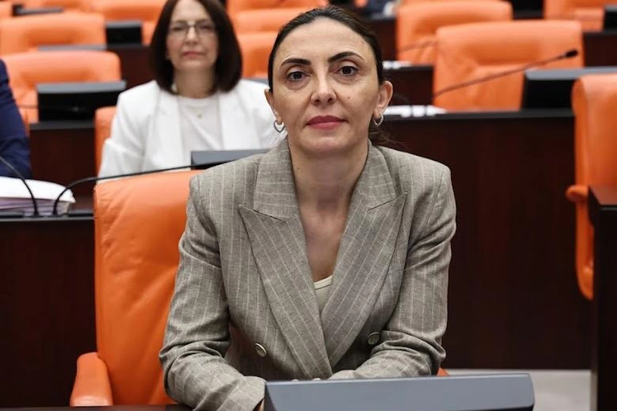CHP'li Altaca Kayışoğlu Yurt dışındaki vatandaşlar ehliyet mağduriyeti yaşıyor