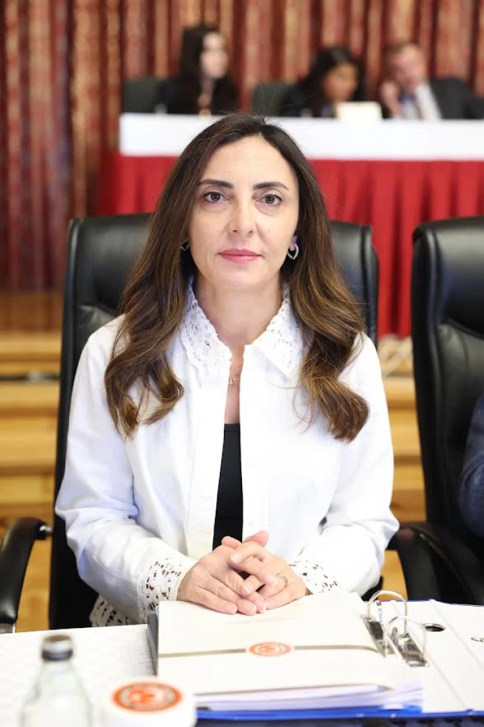 CHP'li Nurhayat Altaca Kayışoğlu “İnsan Hakları İhlalleri Artıyor, Denetim Mekanizmaları Yok”