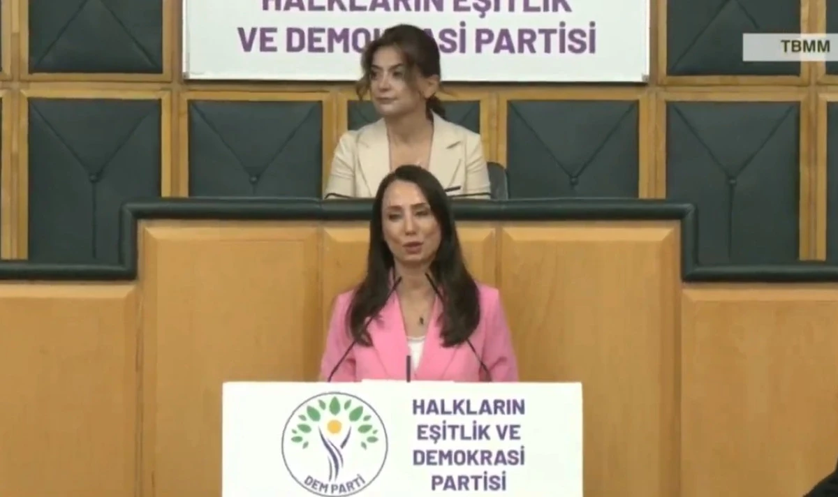 DEM Parti&rsquo;den s&uuml;re&ccedil; i&ccedil;in &ouml;neriler: T&uuml;lay Hatimoğulları 4 maddeyi a&ccedil;ıkladı