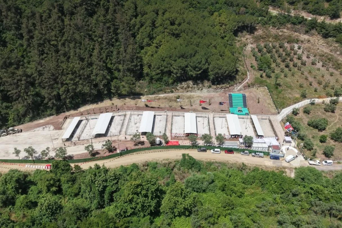 Gemlik&rsquo;te Barınak Ziyaret&ccedil;ilere Hep A&ccedil;ık