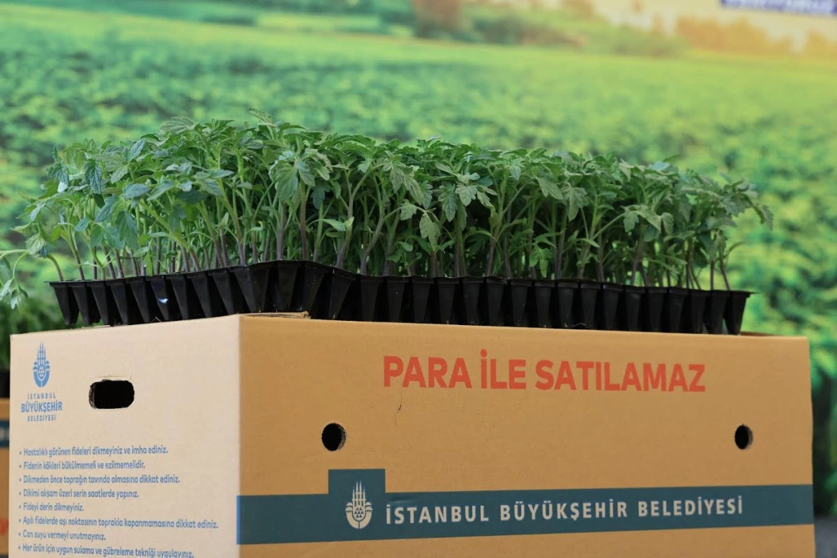 İBB’NİN İSTANBULLU ÇİFTÇİLERE VERDİĞİ KARŞILIKSIZ DESTEK ARTARAK DEVAM EDİYOR