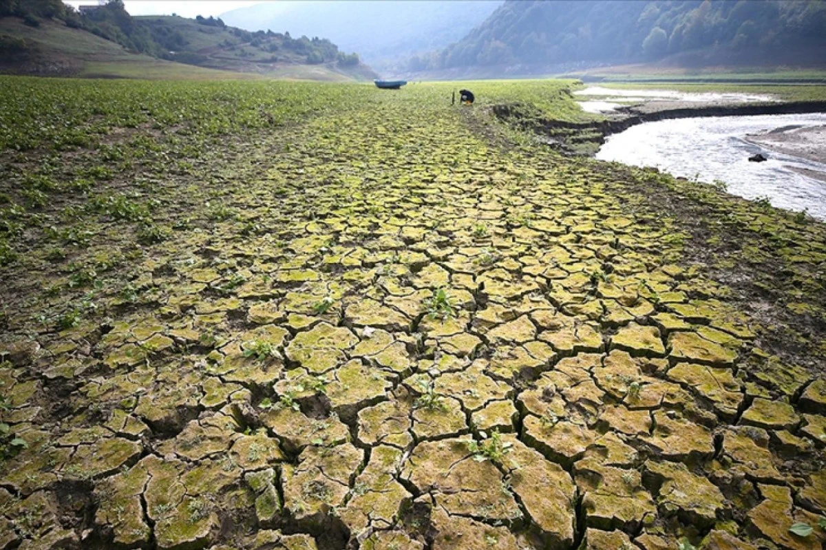 Isınan ve Kurak T&uuml;rkiye: Son 50 Yılda Sıcaklıklar Nasıl Değişti?