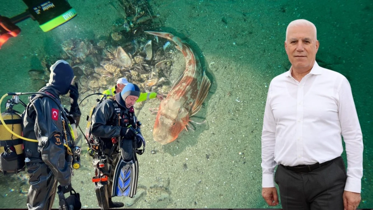 Marmara Denizi’nin ekolojik yapısı mercek altında