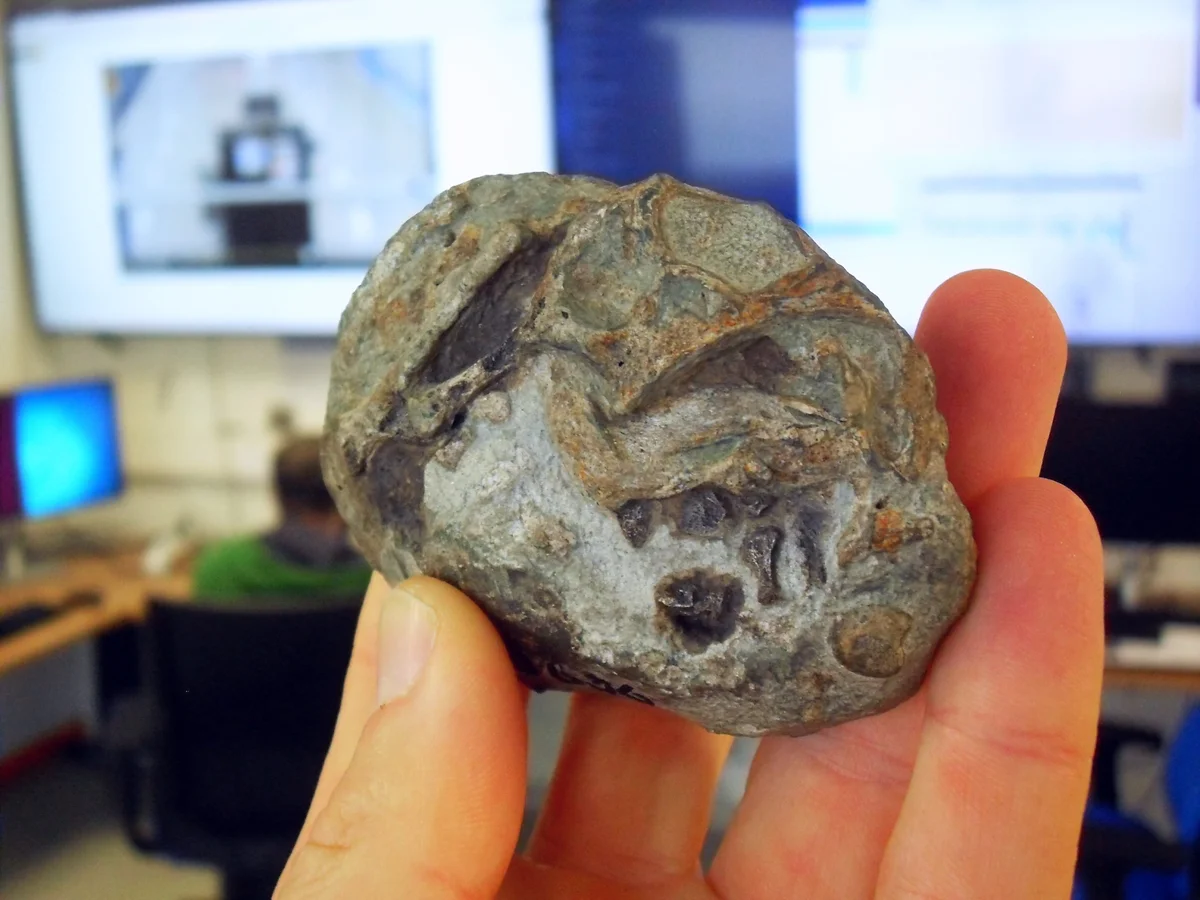 Memelilerin Atasından Ezber Bozan Keşif: 250 Milyon Yıllık Yumurta Fosili Evrim Tarihini Değiştiriyor!