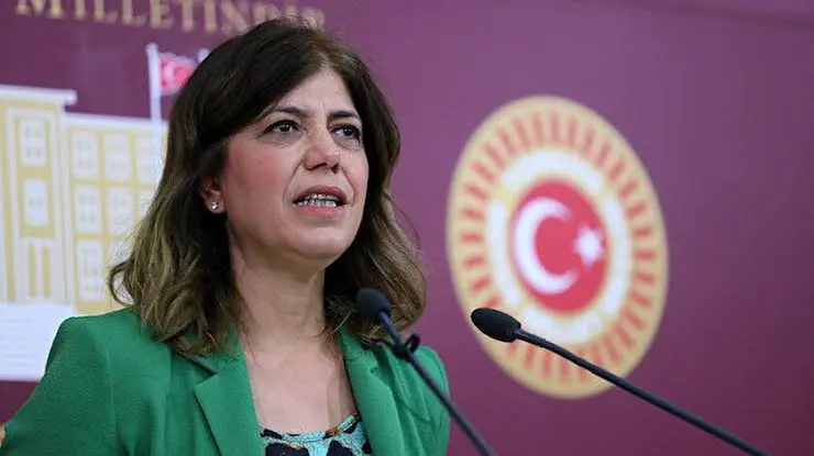 Meral Danış Beştaş: Bir siyasi partiye b&ouml;yle girilmesinin izahı yok