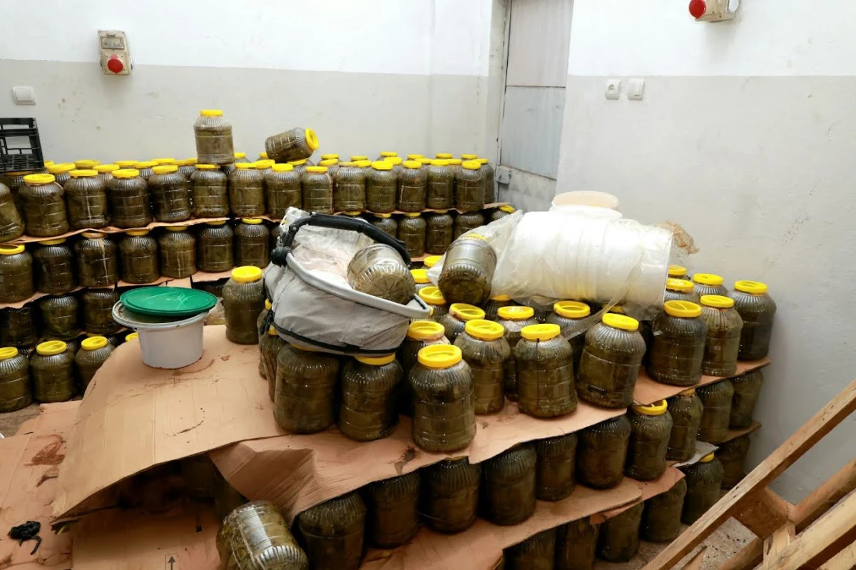 Osmangazi&rsquo;de Sağlığı Tehdit Eden 6,5 Ton Gıda İmha Edildi