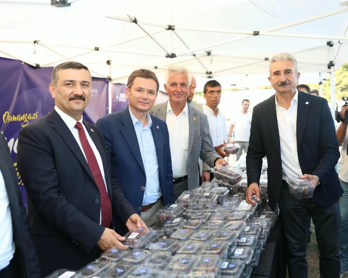 Osmangazi&rsquo;nin Siyah İnciri Festivalle Buluştu