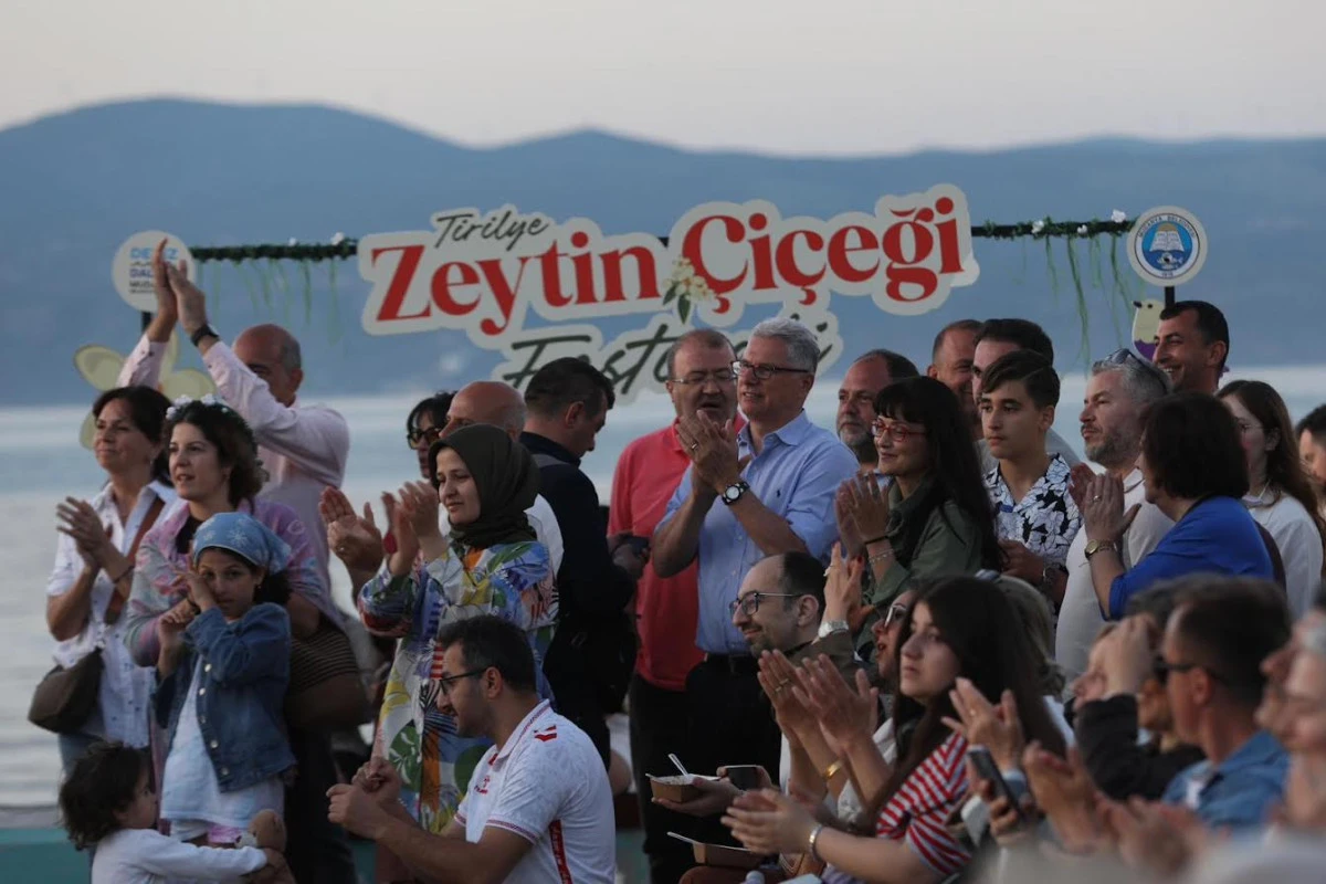 TİRİLYE&rsquo;DE 2. ZEYTİN &Ccedil;İ&Ccedil;EĞİ FESTİVALİ BAŞLADI BAŞKAN DALGI&Ccedil;: &ldquo;ZEYTİNİN BAŞKENTİ TİRİLYE&rsquo;DİR&rdquo;