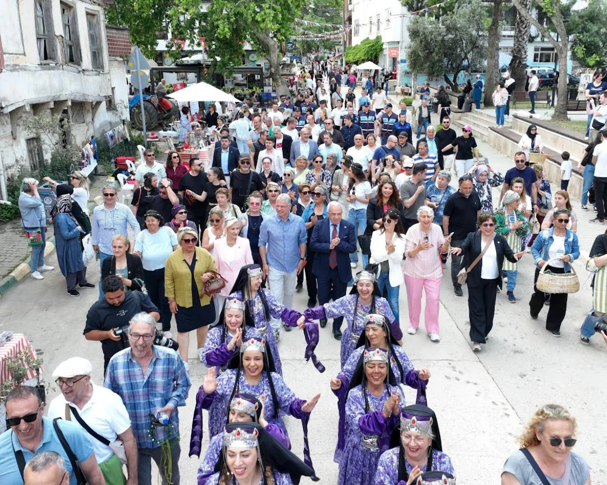 TİRİLYE’DE ZEYTİN ÇİÇEĞİ FESTİVALİ BAŞLADI