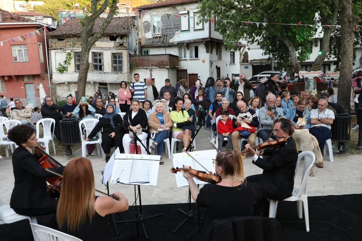 Tirilye’de zeytinin çiçeği açtı, festival sokakları sardı