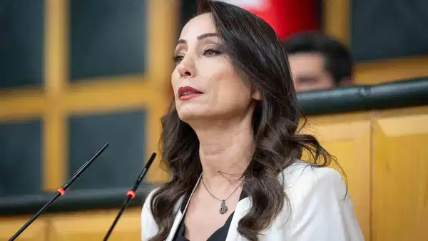 T&uuml;lay Hatimoğulları'ndan AKP'ye 's&uuml;re&ccedil;' eleştirisi