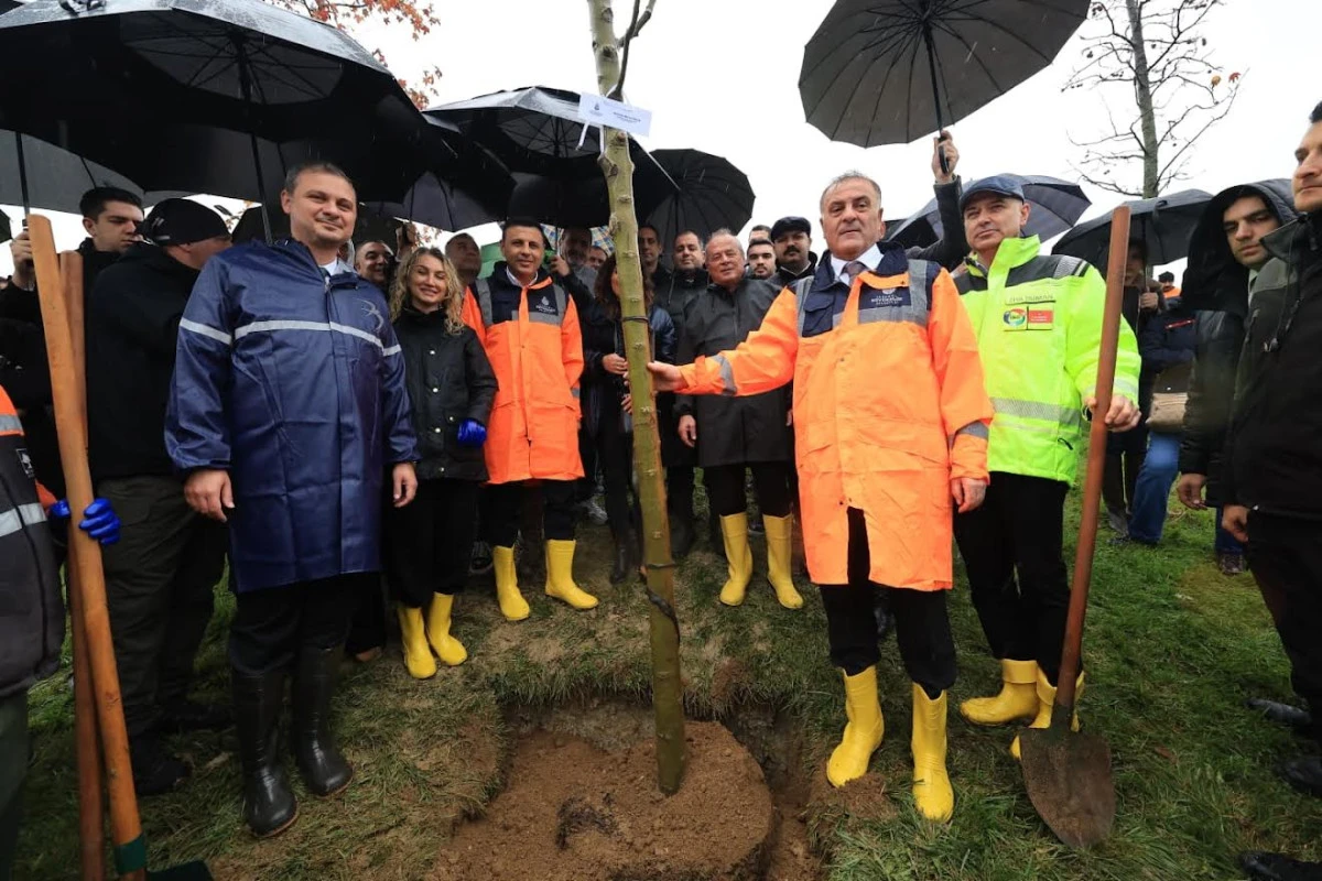 TUTUKLU BELEDİYE BAŞKANLARI VE BÜROKRATLAR İÇİN DİKİLEN FİDANLAR TOPRAKLA BULUŞTU